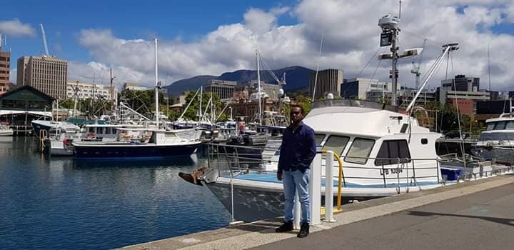 Boats moored in a harbour